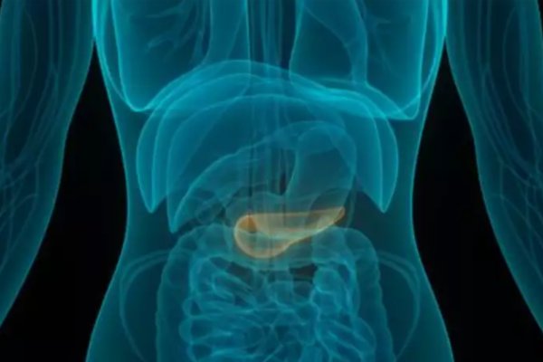 A Recent Study Shows The Early Symptoms Of Pancreatic Cancer Pancreatic Cancer